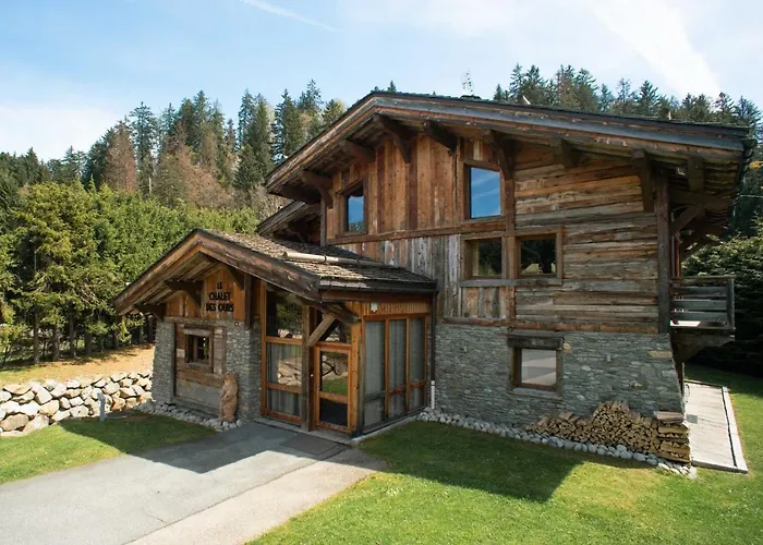 Des Ours I Le Club *