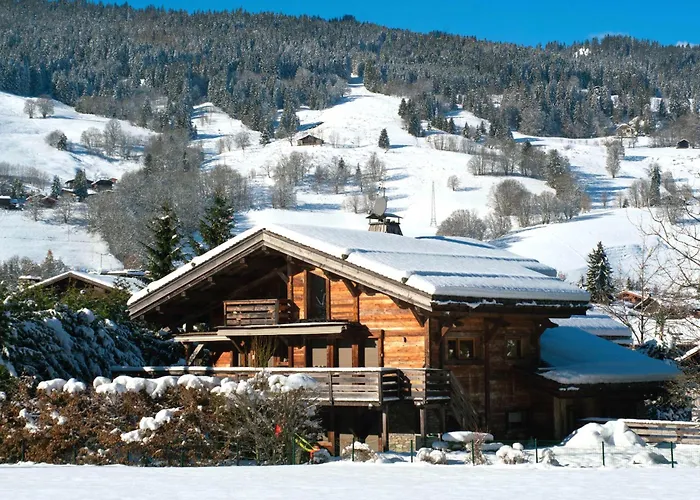 Des Ours I Le Club Villa Megève