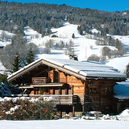 Des Ours I Le Club Villa Megeve